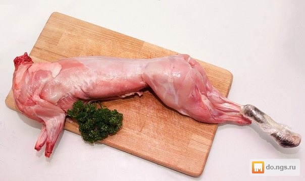 Кролики на мясо в домашних условиях Кролики на мясо в домашних условиях