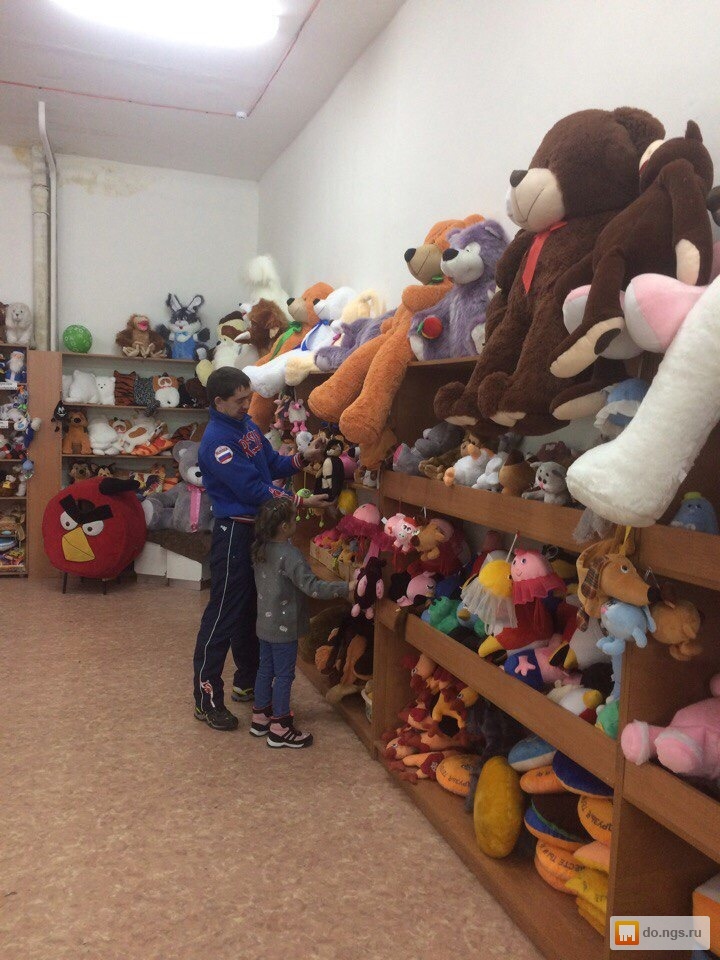 Где Купить В Новосибирске Игрушки Недорого