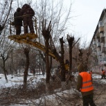 Снос и обрезка  деревьев любой сложности. Корчевка и измельчение пней., Новосибирск