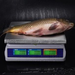 Весы торговые M-ER 329 AC-15.2 IP67 "Fisher", Новосибирск