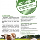 Сухая пивная дробина, Новосибирск