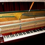 Пианино и другие клавишные помощь в выборе,оценке, Новосибирск