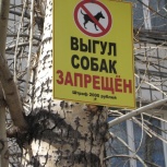 Таблички, вывески, наклейки, баннеры, указатели, информационные стенды, Новосибирск