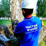 Спил, снос, обрезка деревьев, Новосибирск