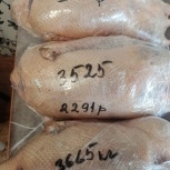 Тушки гусей, Новосибирск