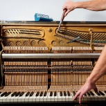 Фортепианный мастер (настройщик пианино), Новосибирск