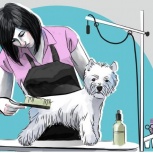Груминг (парикмахер для собак), Новосибирск