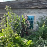 Покос травы бензиновым триммером, Новосибирск
