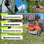 Спил деревьев, Новосибирск