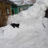 Уборка и чистка снега, Новосибирск