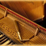 Настройка, ремонт, обслуживание пианино (фортепиано), рояля, списание, Новосибирск