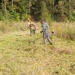 Покос скос Травы расчистка запущенных участков, Новосибирск