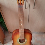 Гитара шестиструнная, Новосибирск