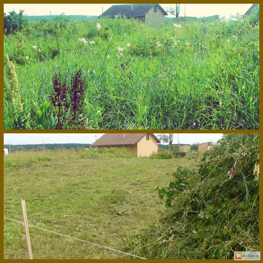 Покос травы фото до и после