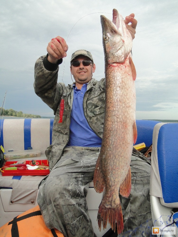 охота рыбалка туризм в новосибирске