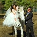 Свадебный фотограф, Новосибирск